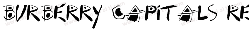 Burberry Capitals Regula字体转换
